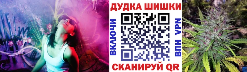 где купить   Томилино  Бошки марихуана Amnesia 
